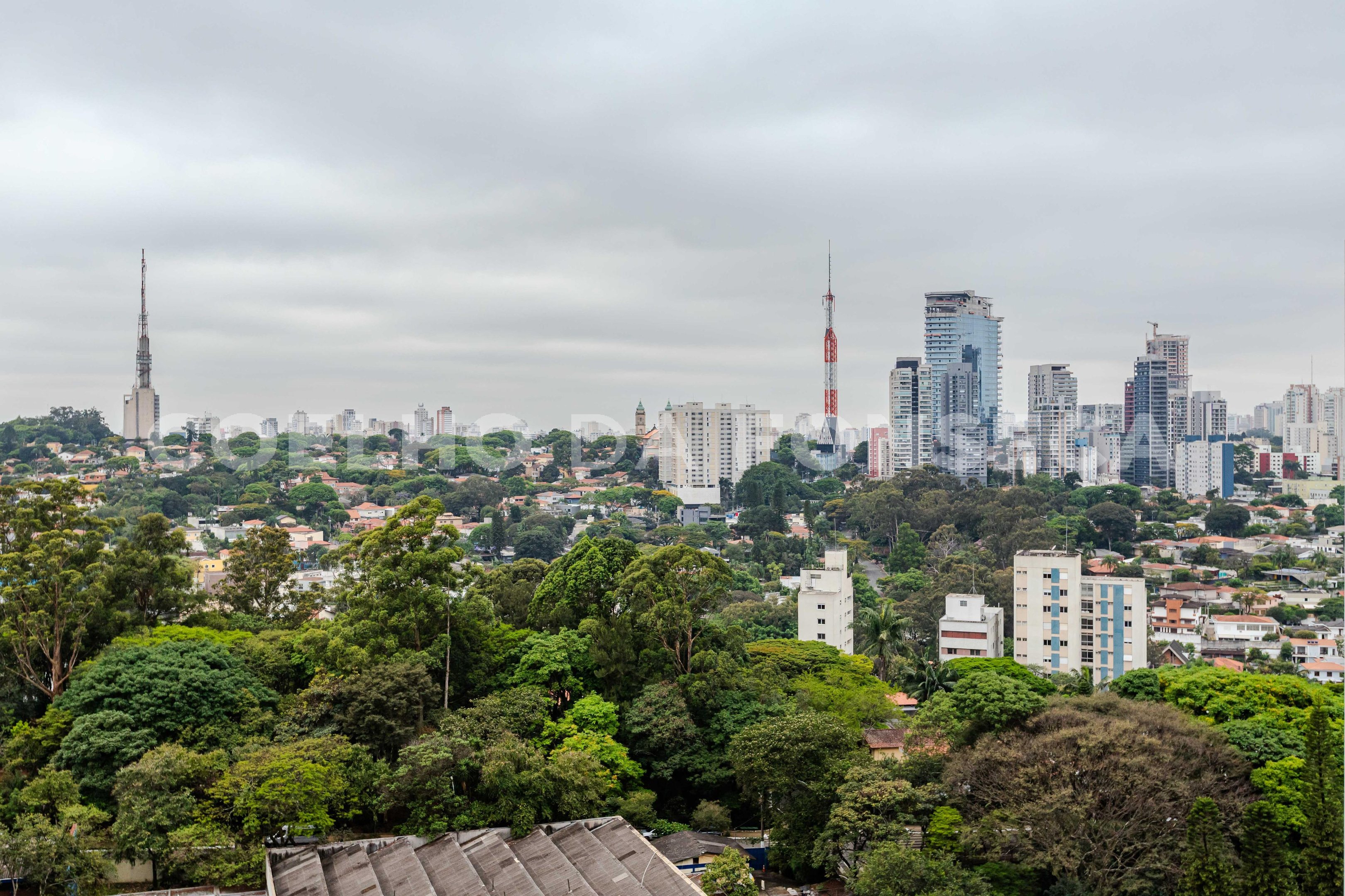 Vista