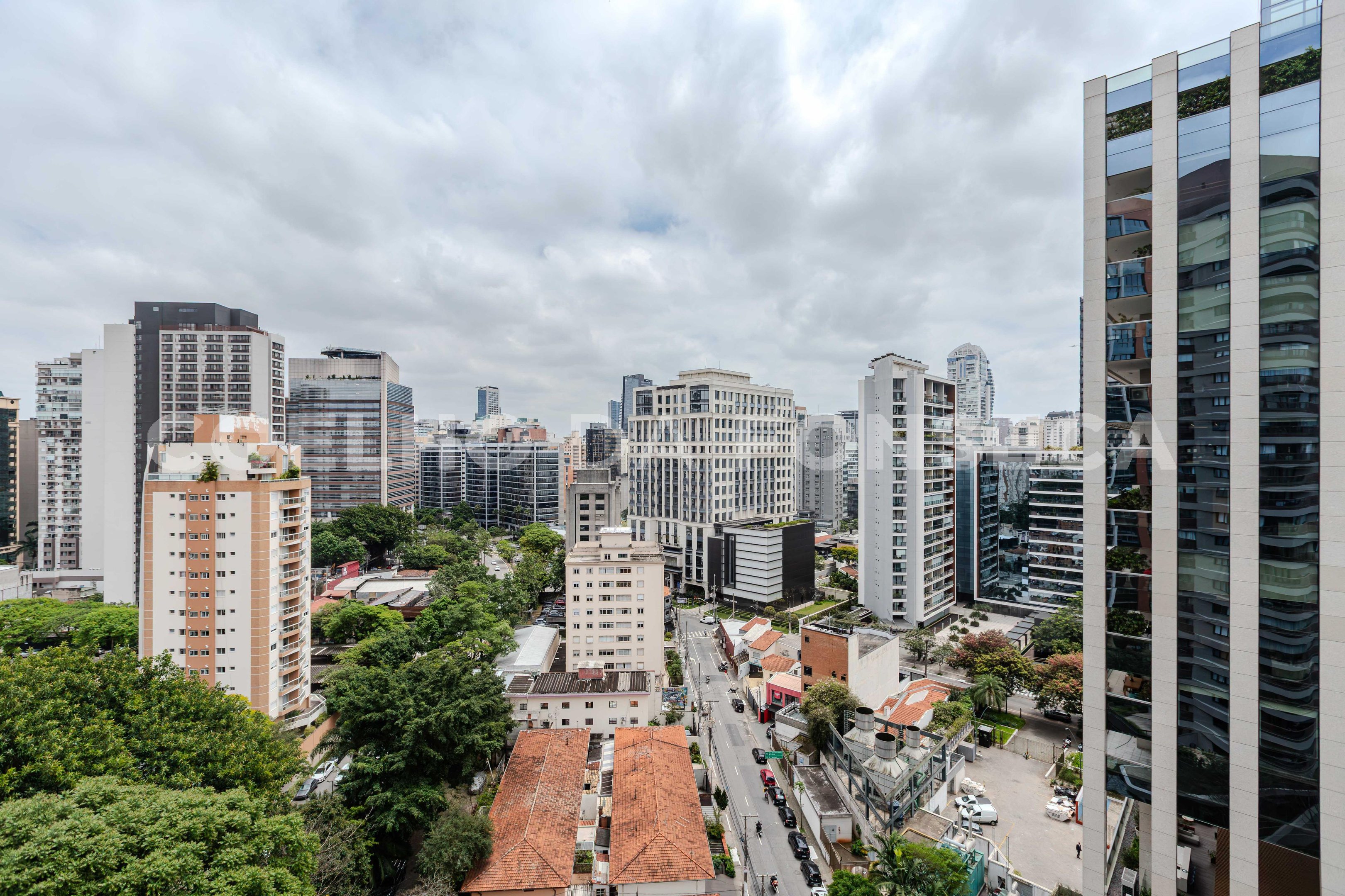 Vista