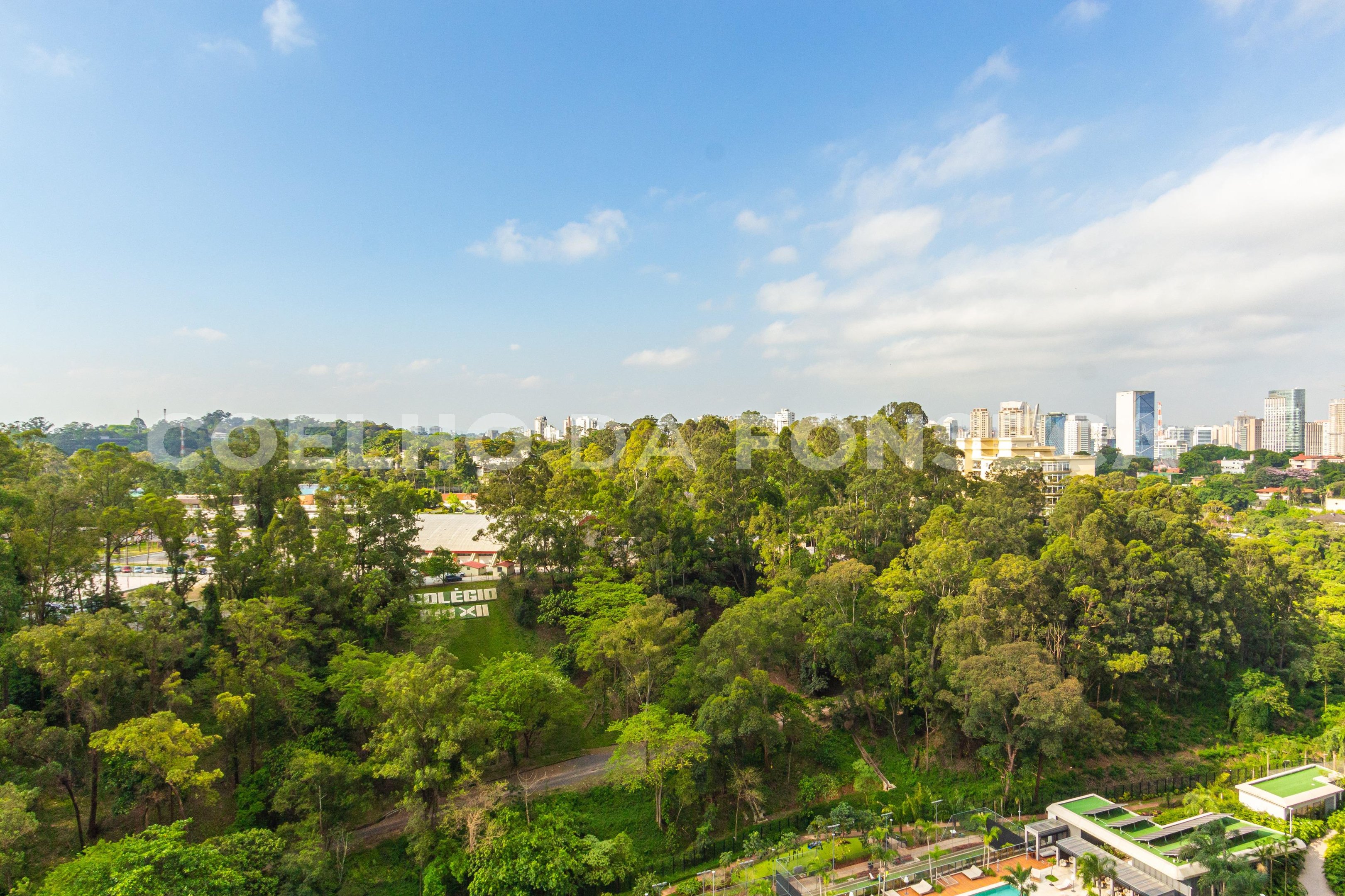 Vista
