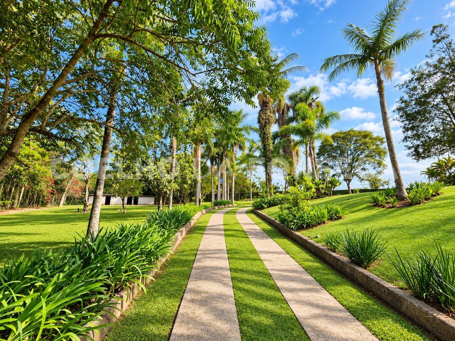 Jardim