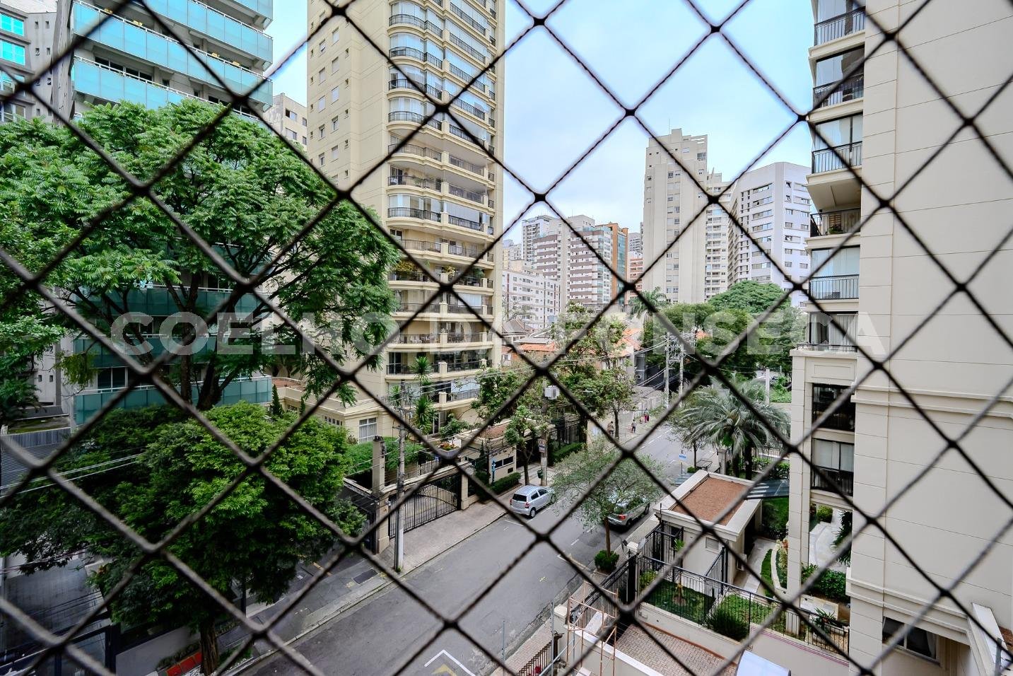 Vista