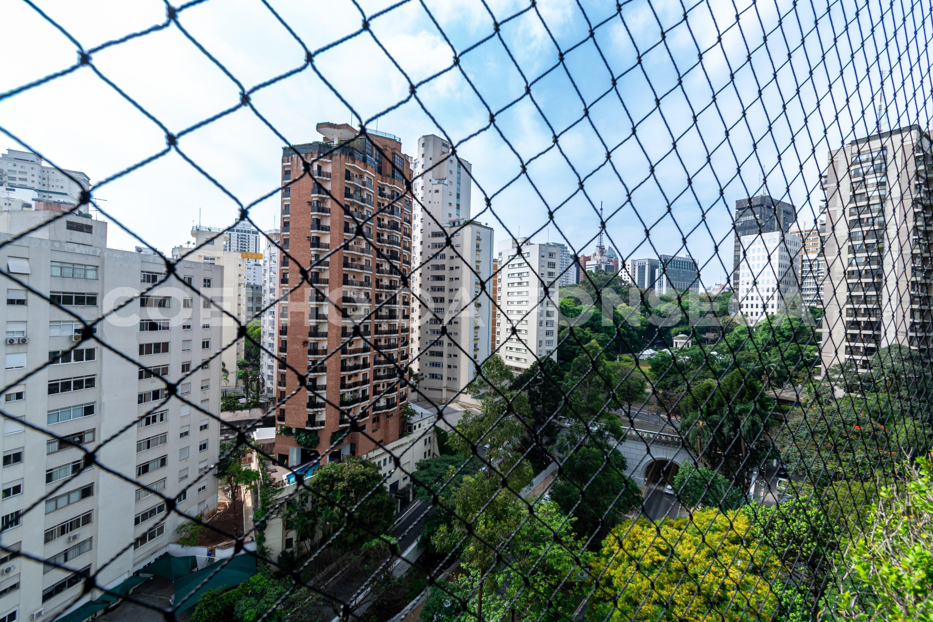 Vista