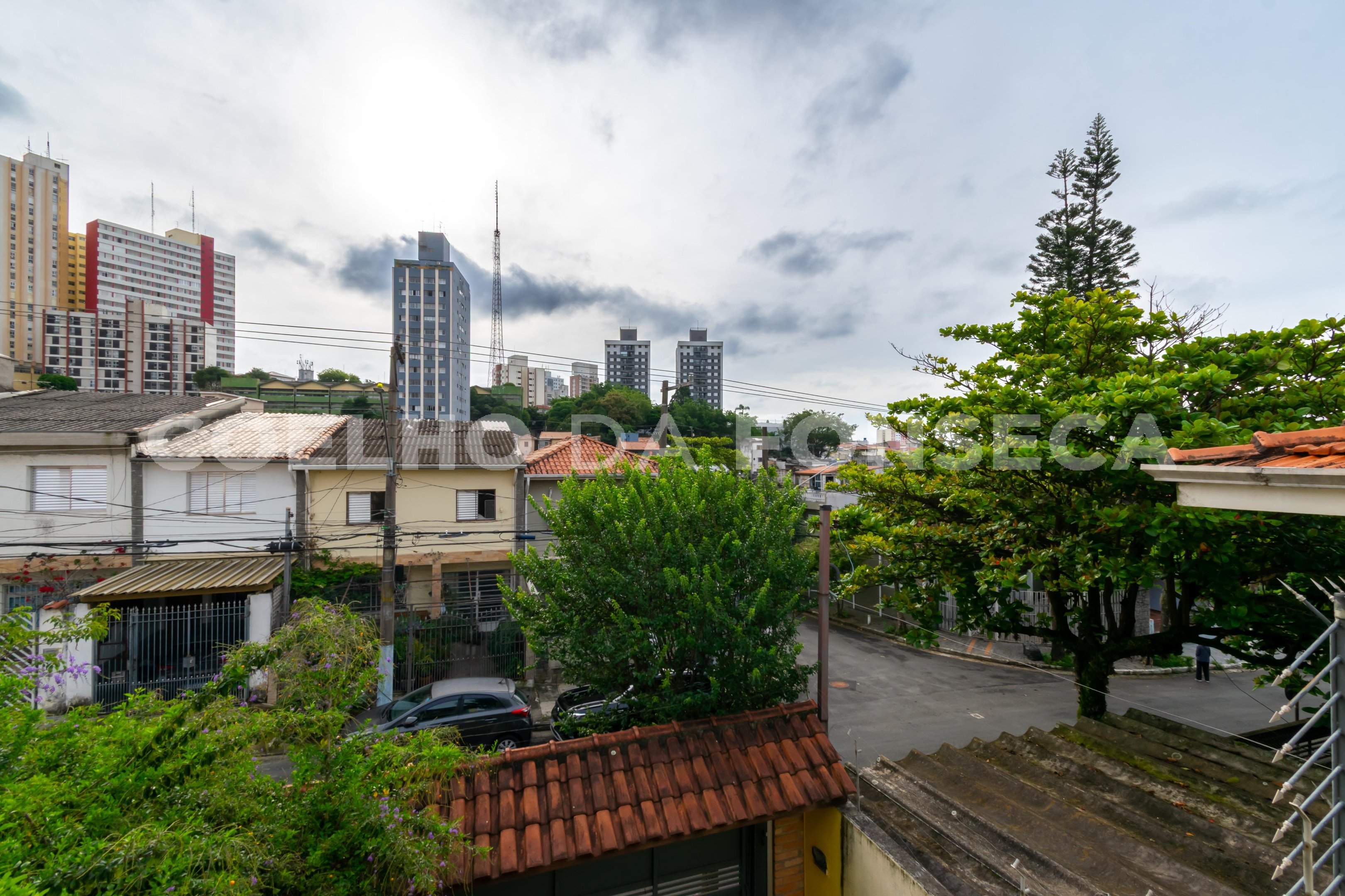 Vista