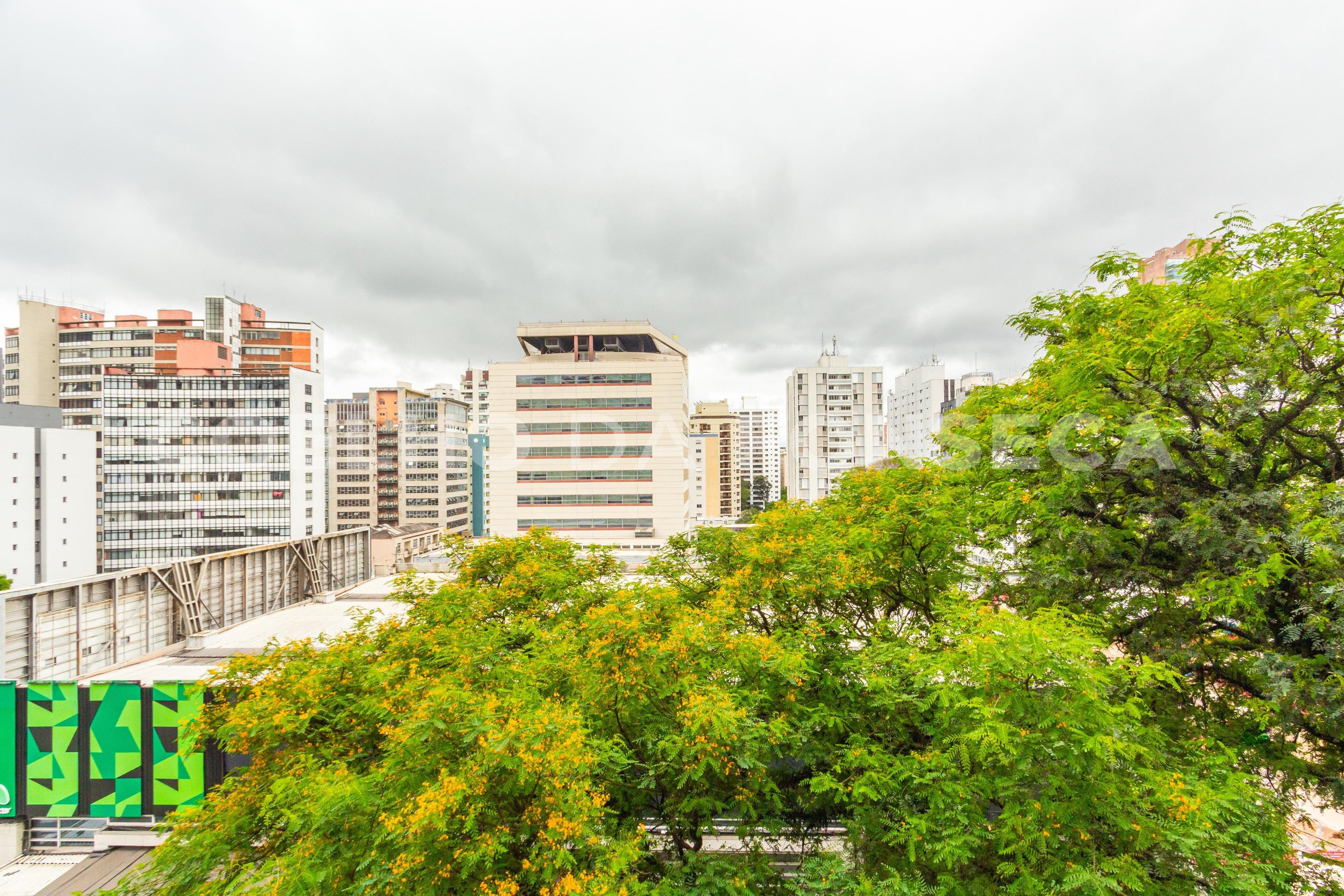 Vista