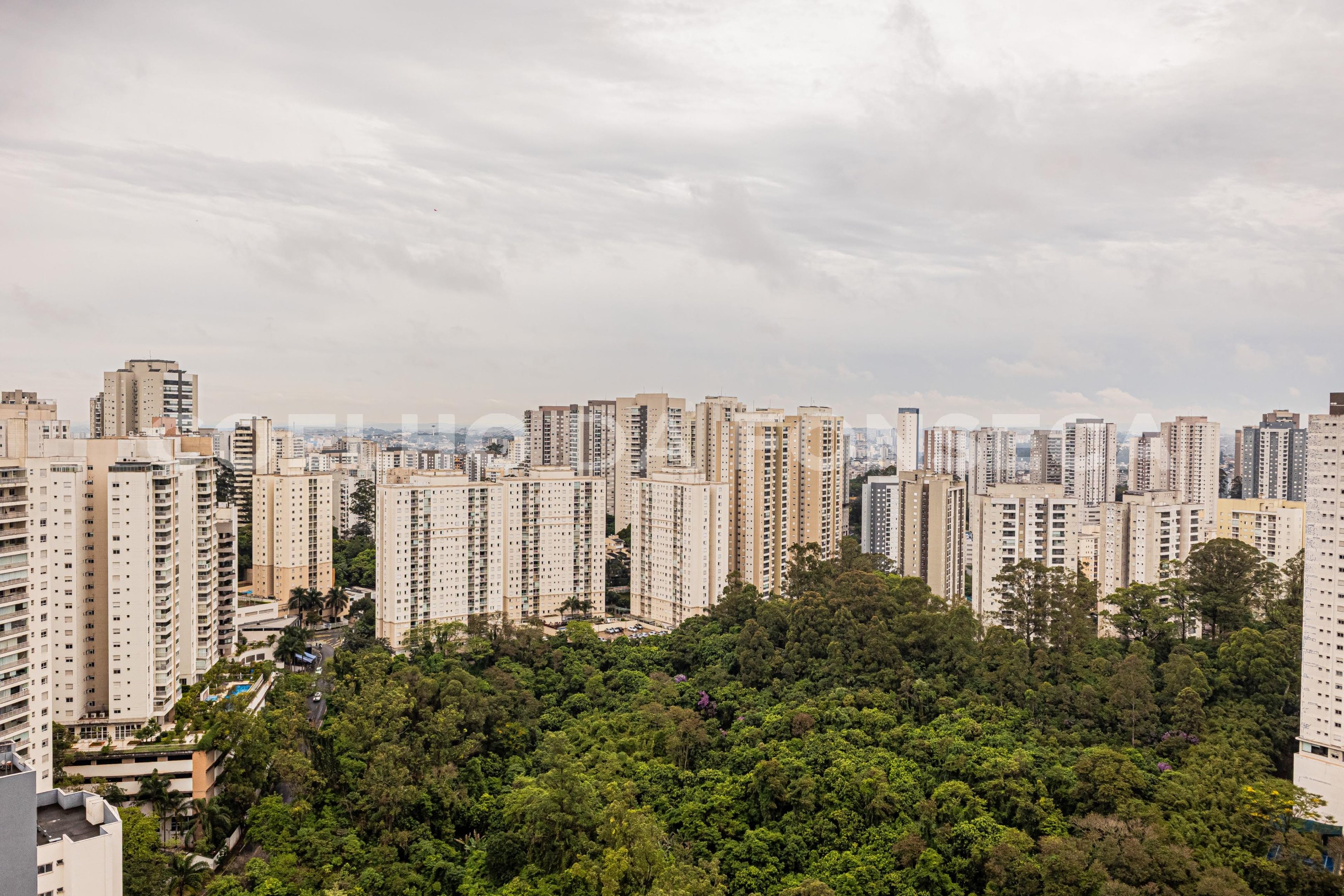 Vista