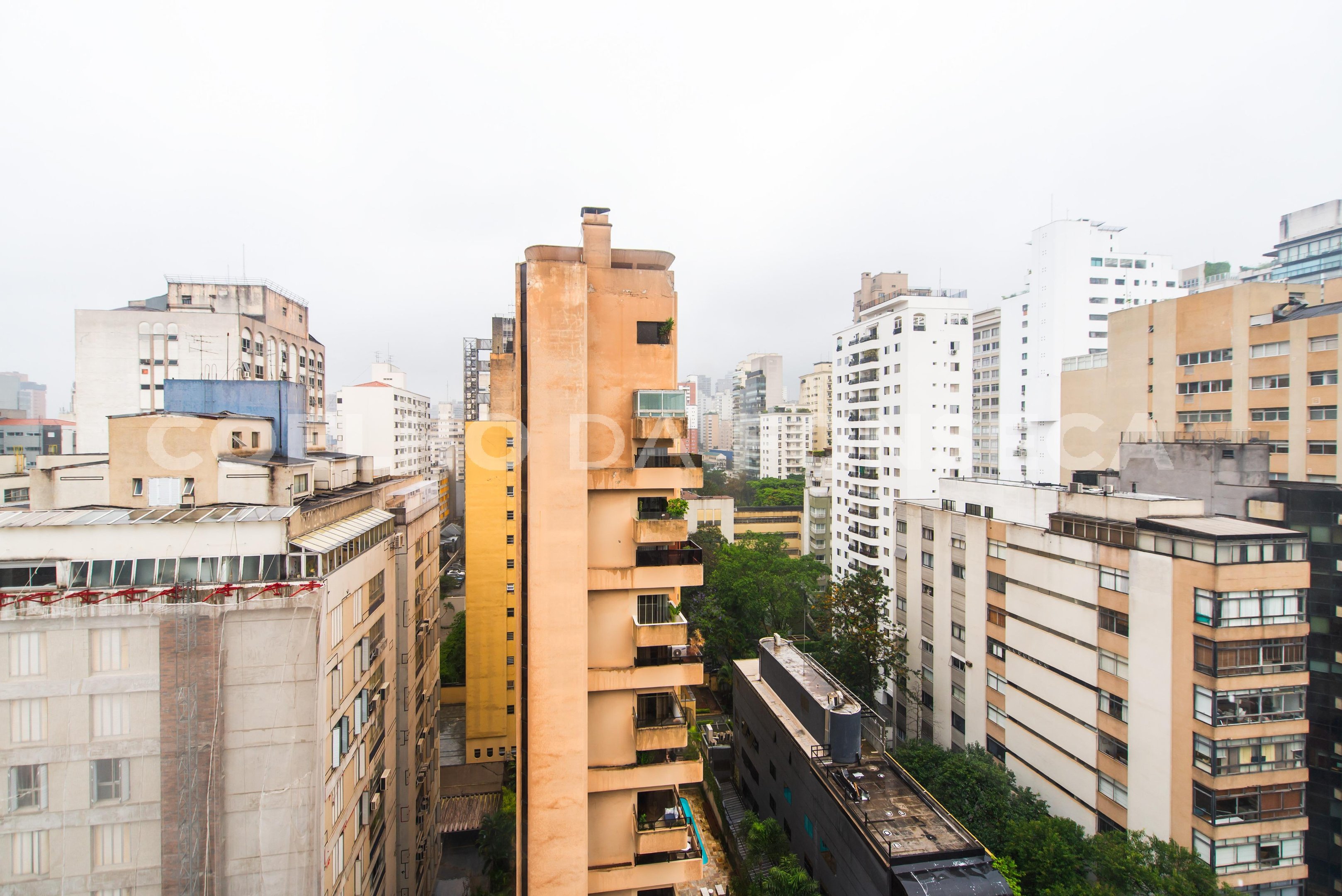 Vista
