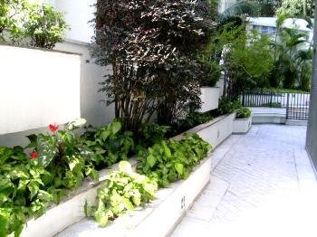 Jardim