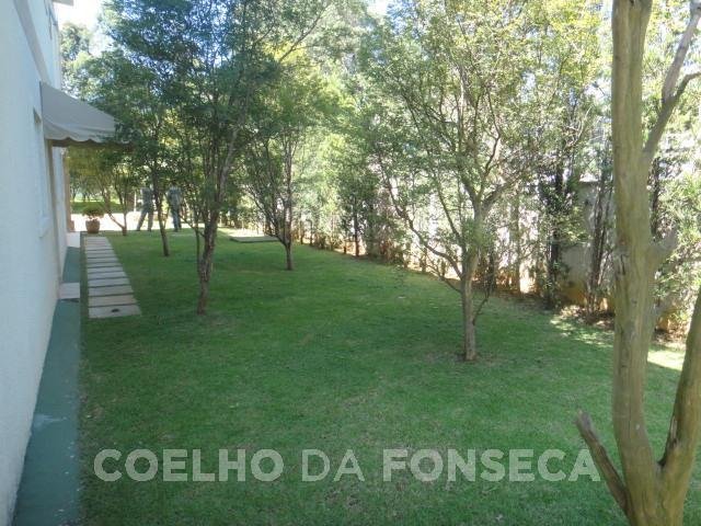 Jardim