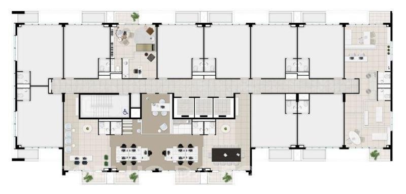 Planta
