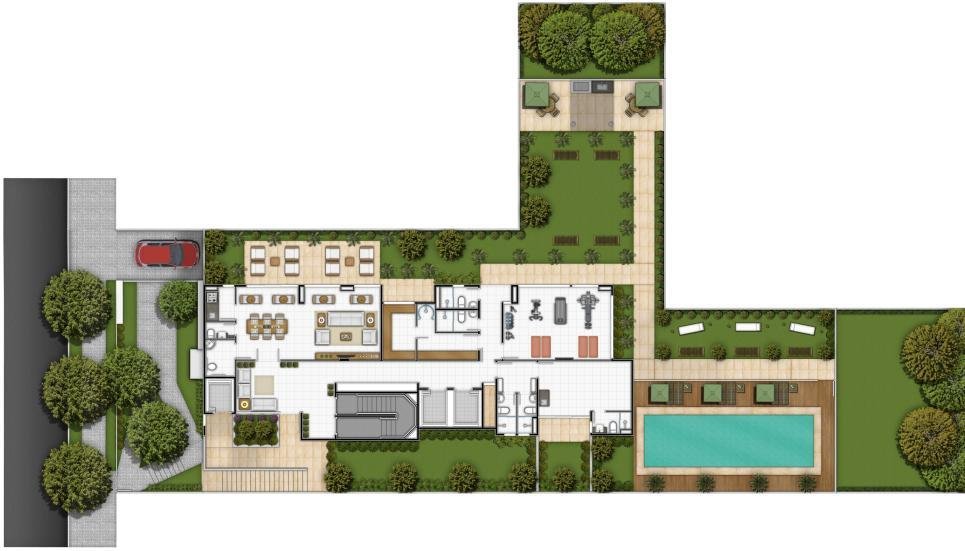 Planta