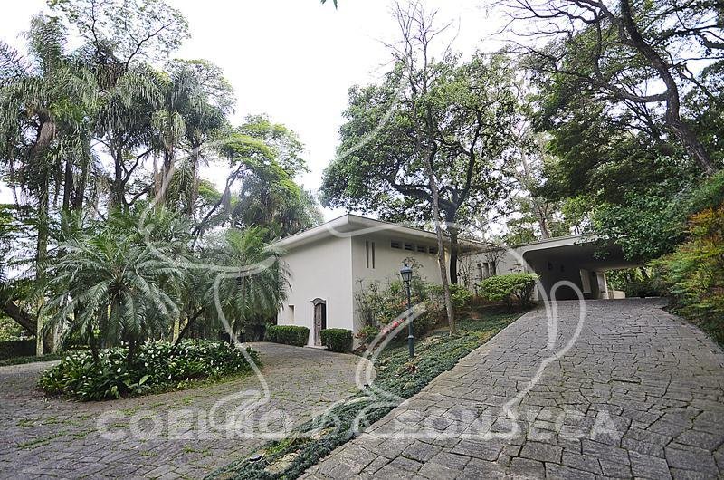 Jardim
