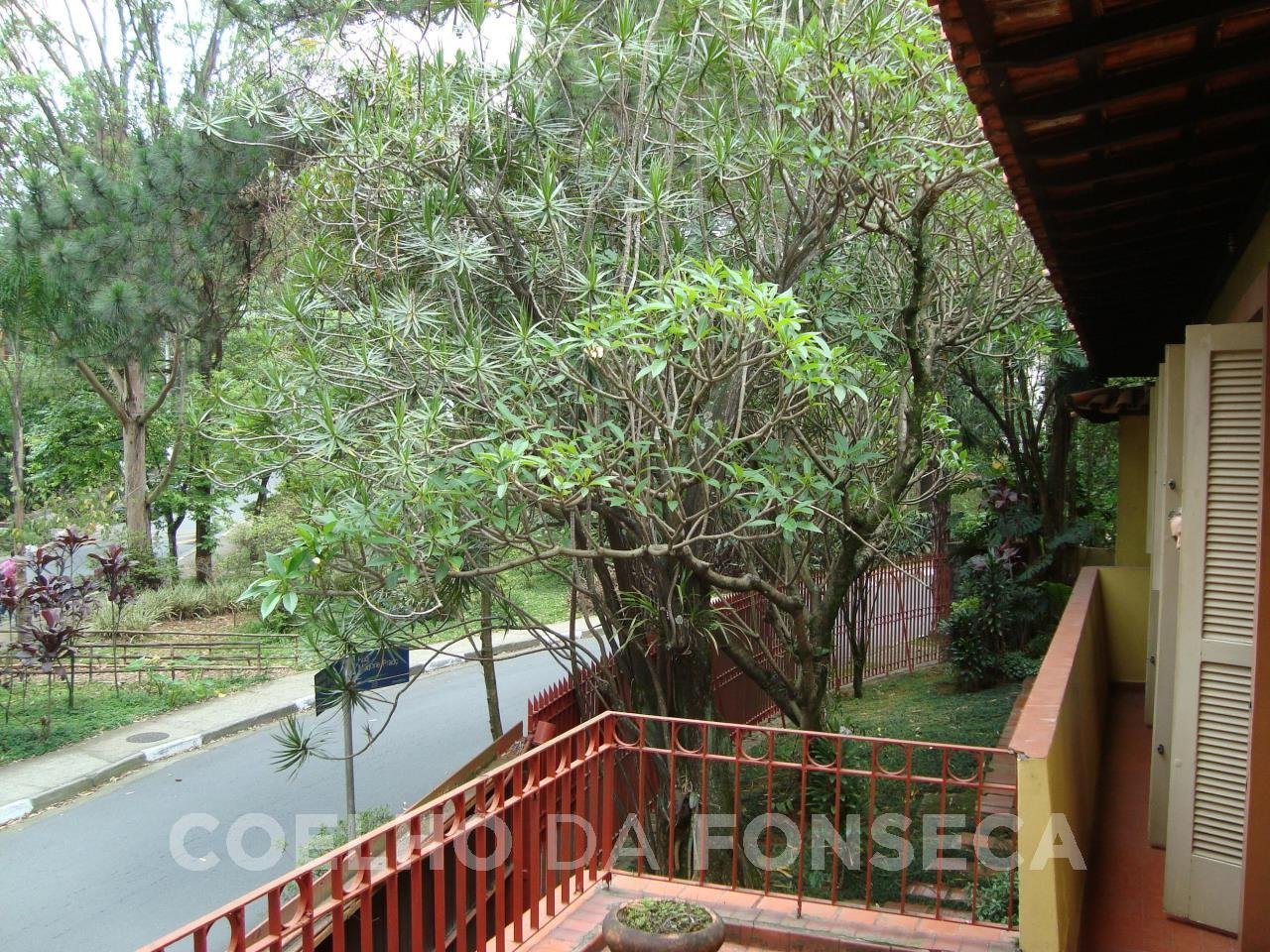 Vista