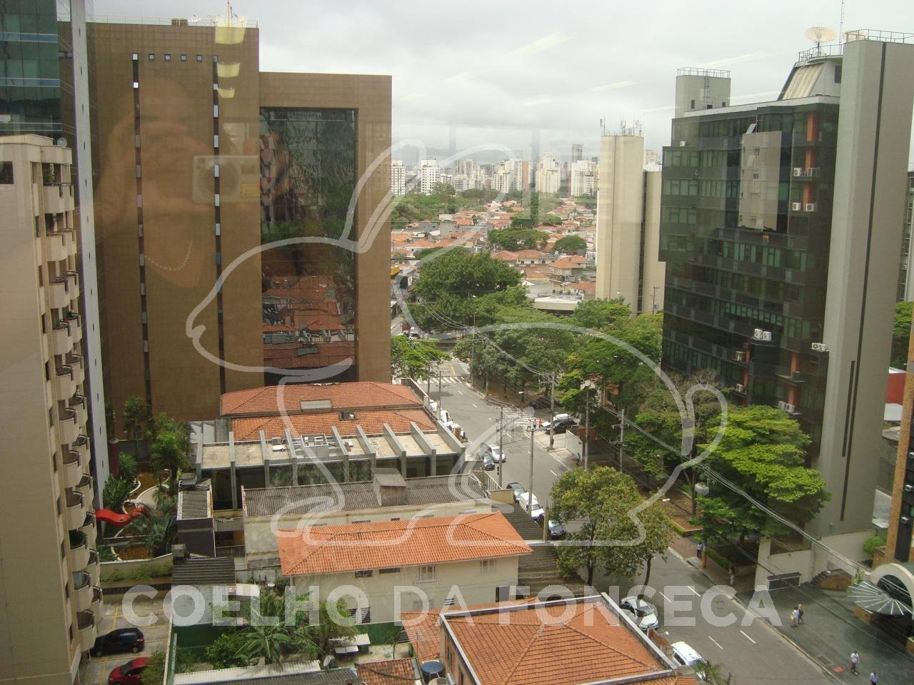 Vista