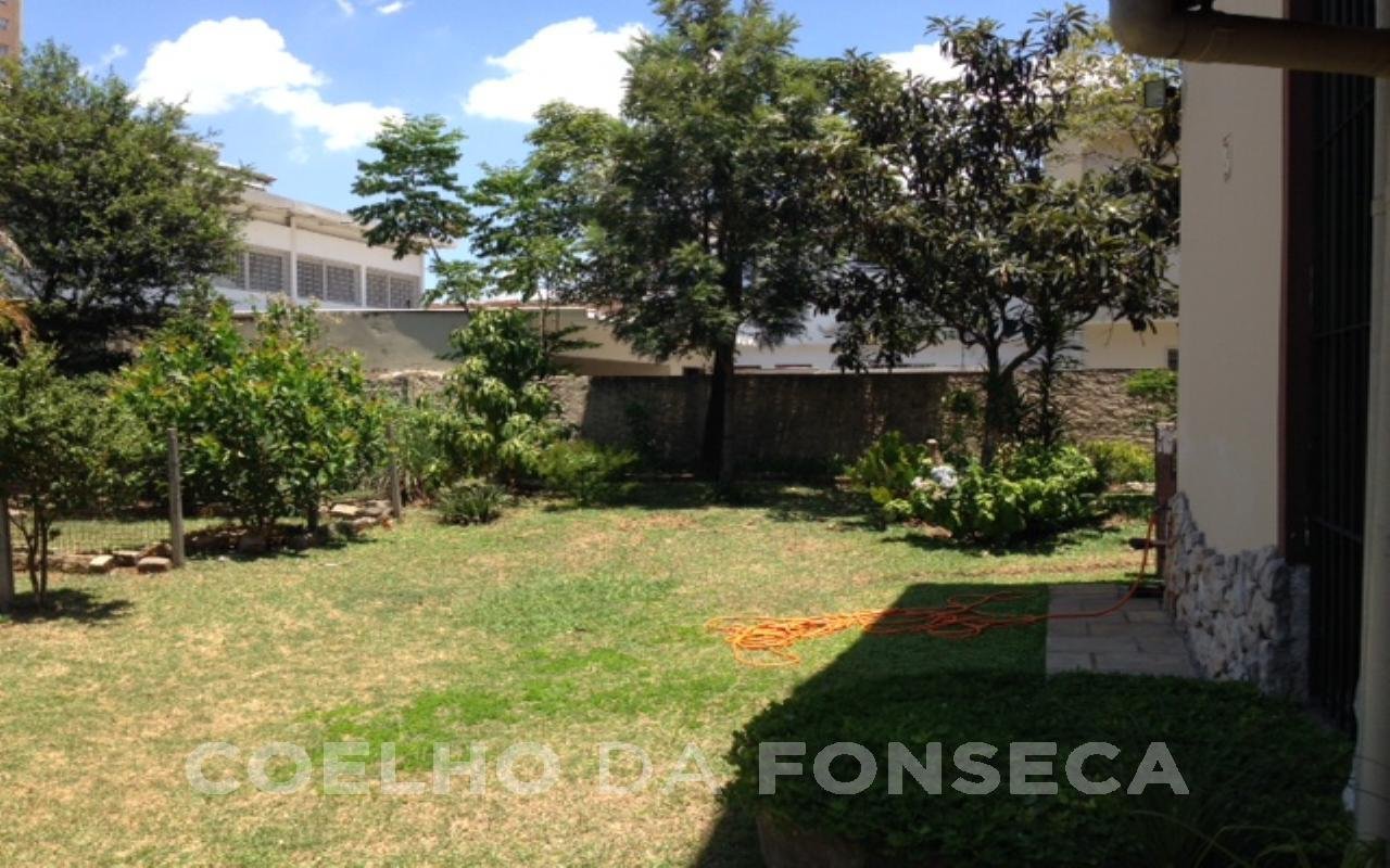 Jardim