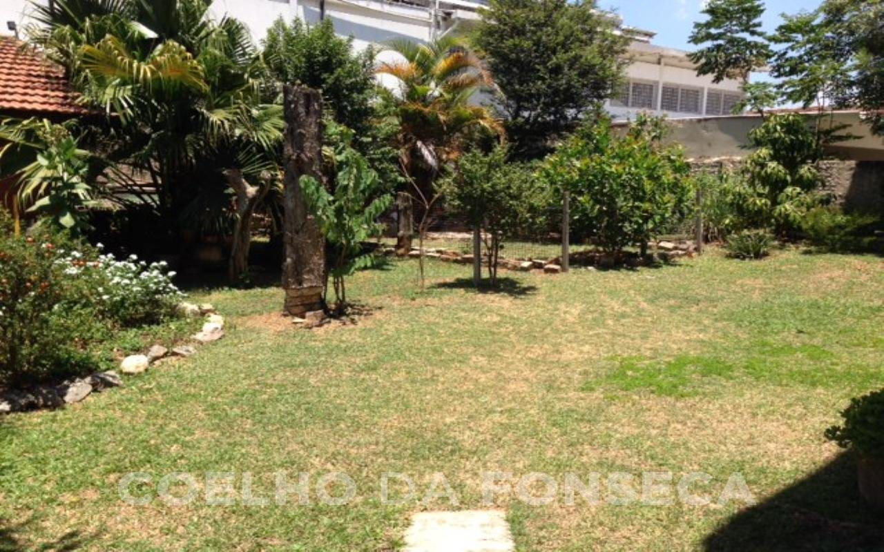 Jardim