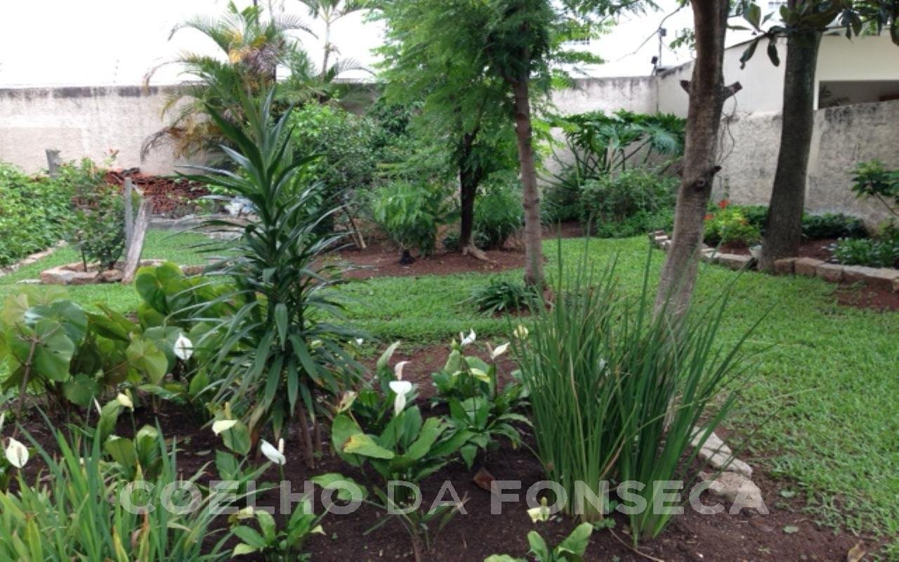 Jardim