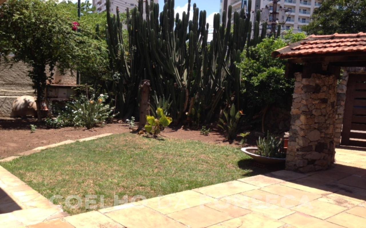 Jardim