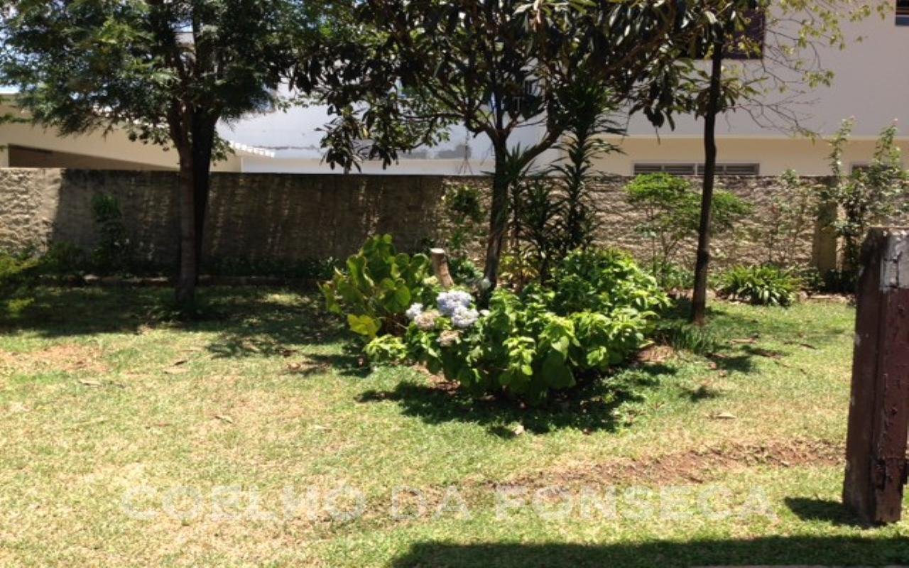 Jardim