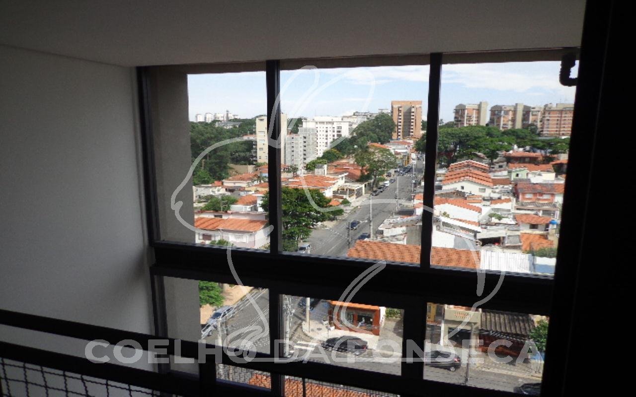 Vista