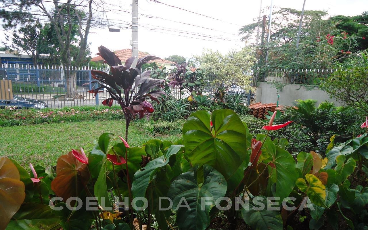 Jardim