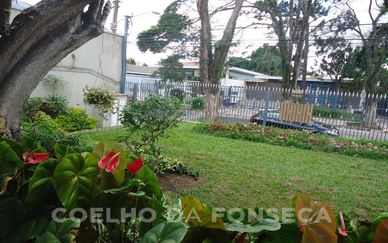 Jardim