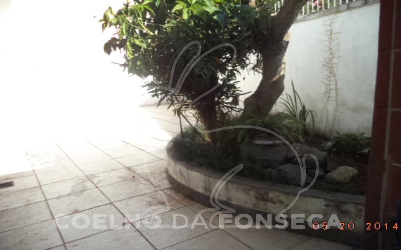 Jardim