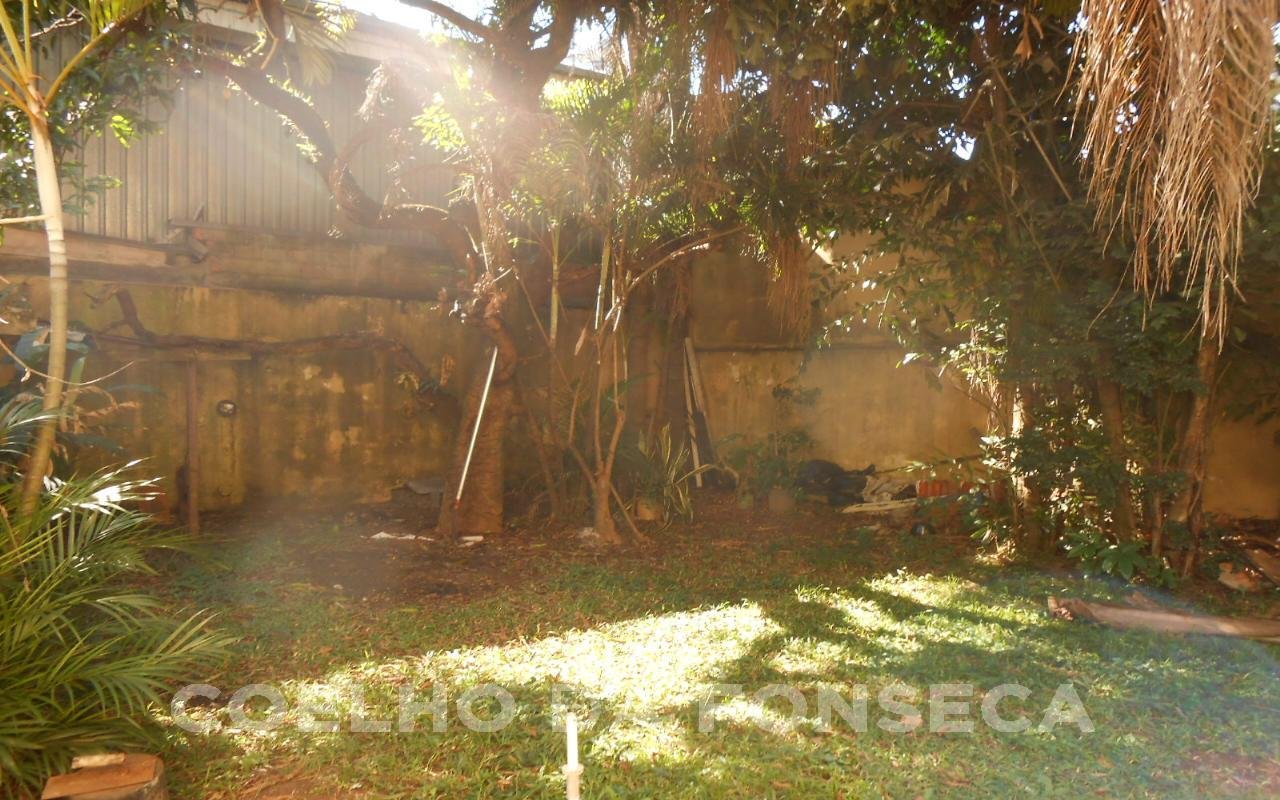 Jardim