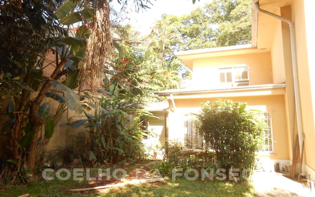 Jardim