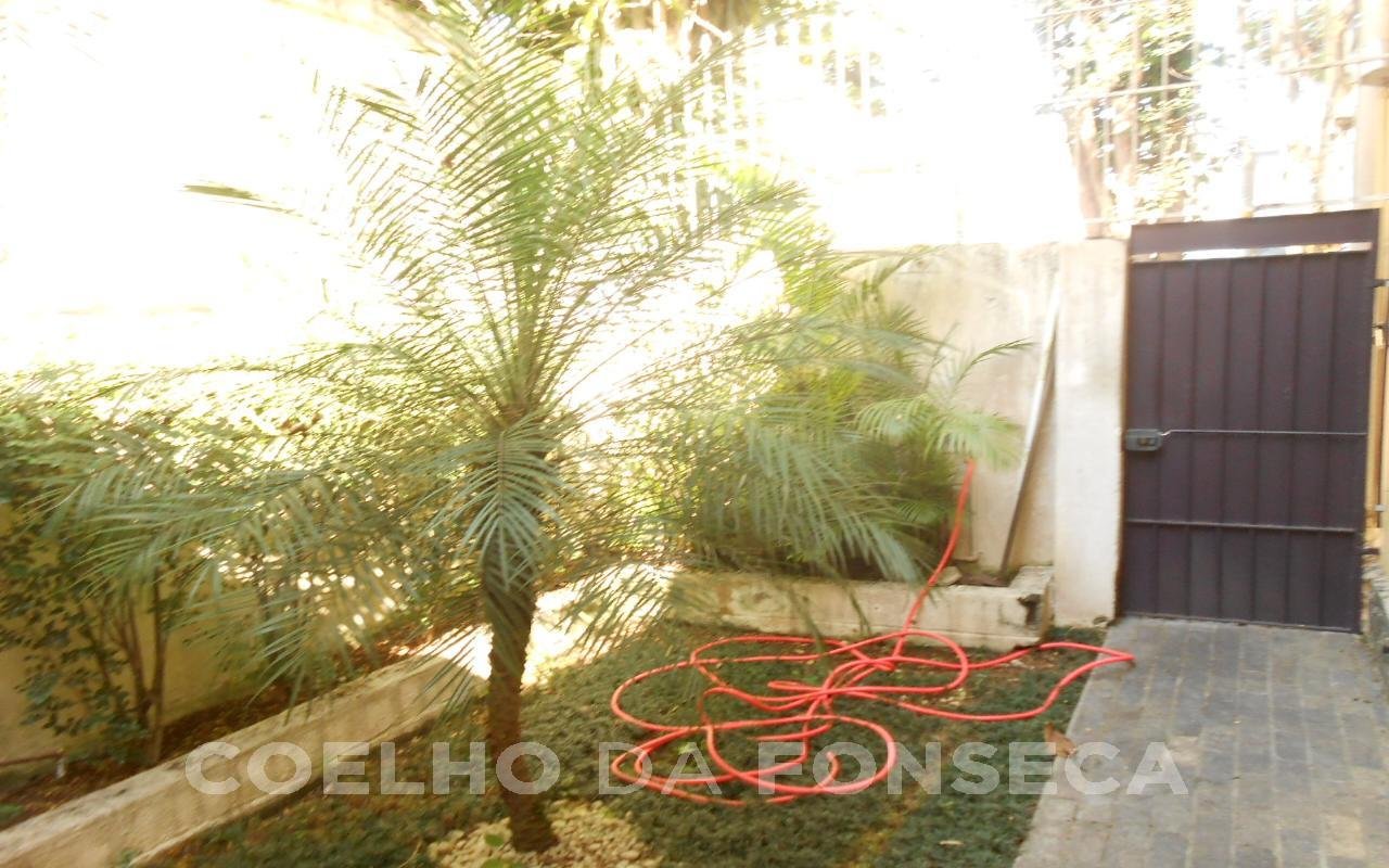 Jardim