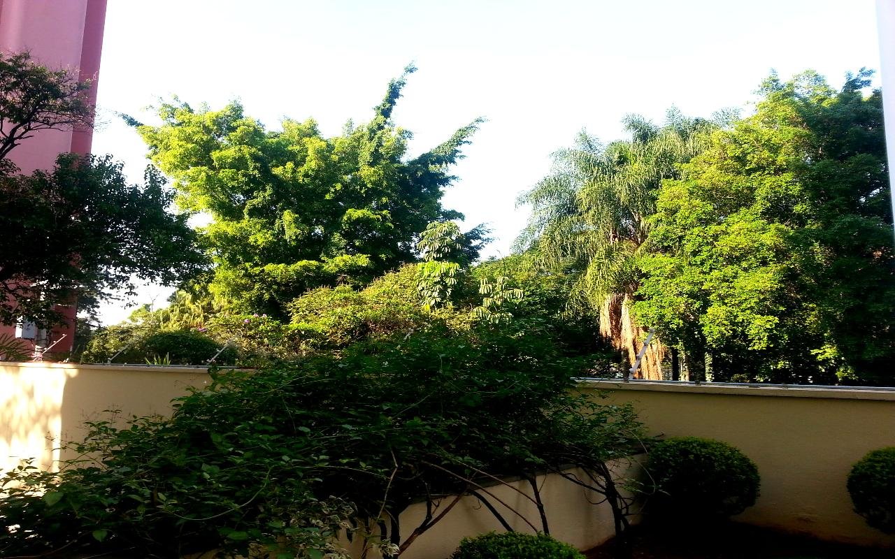 Jardim