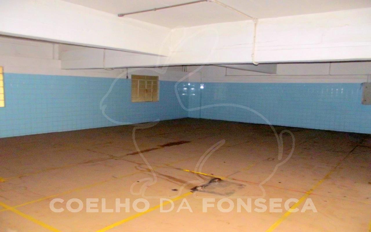 Foto (5)