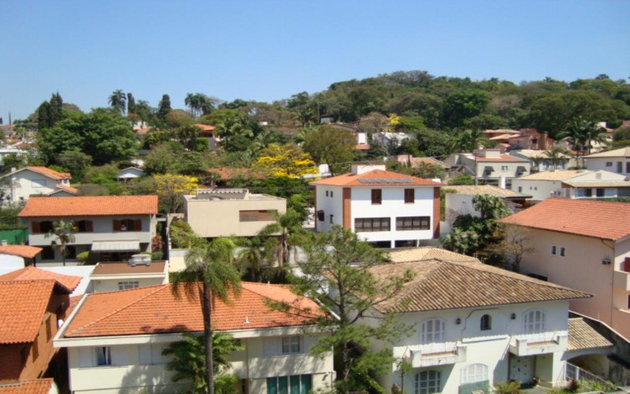 Vista