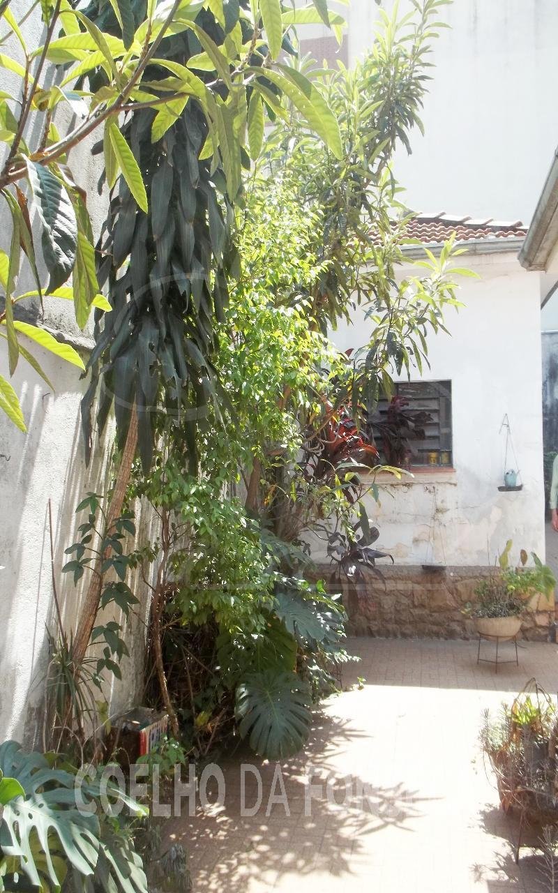 Jardim