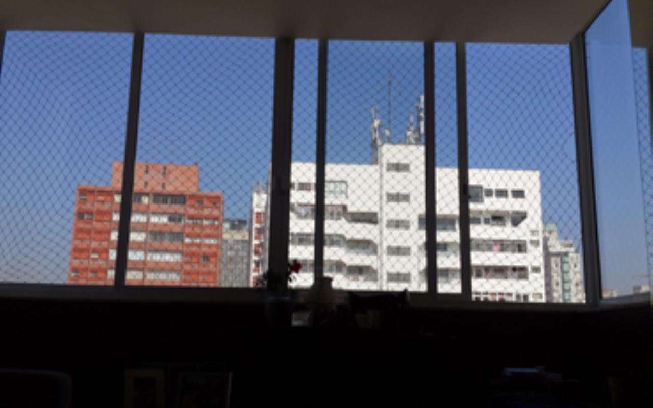 Vista