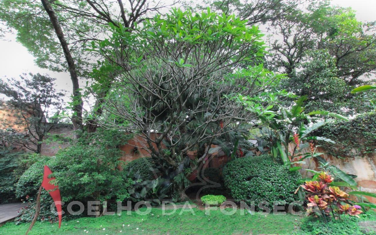 Jardim