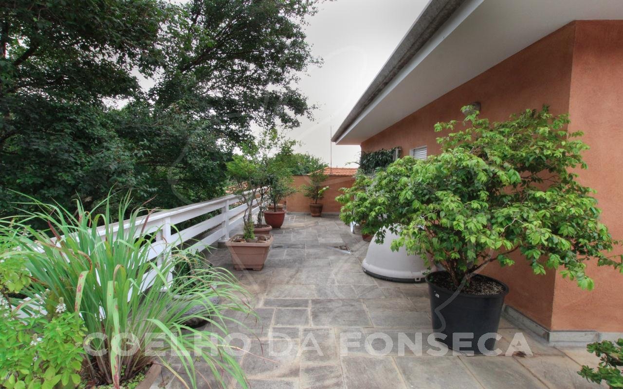 Terraço