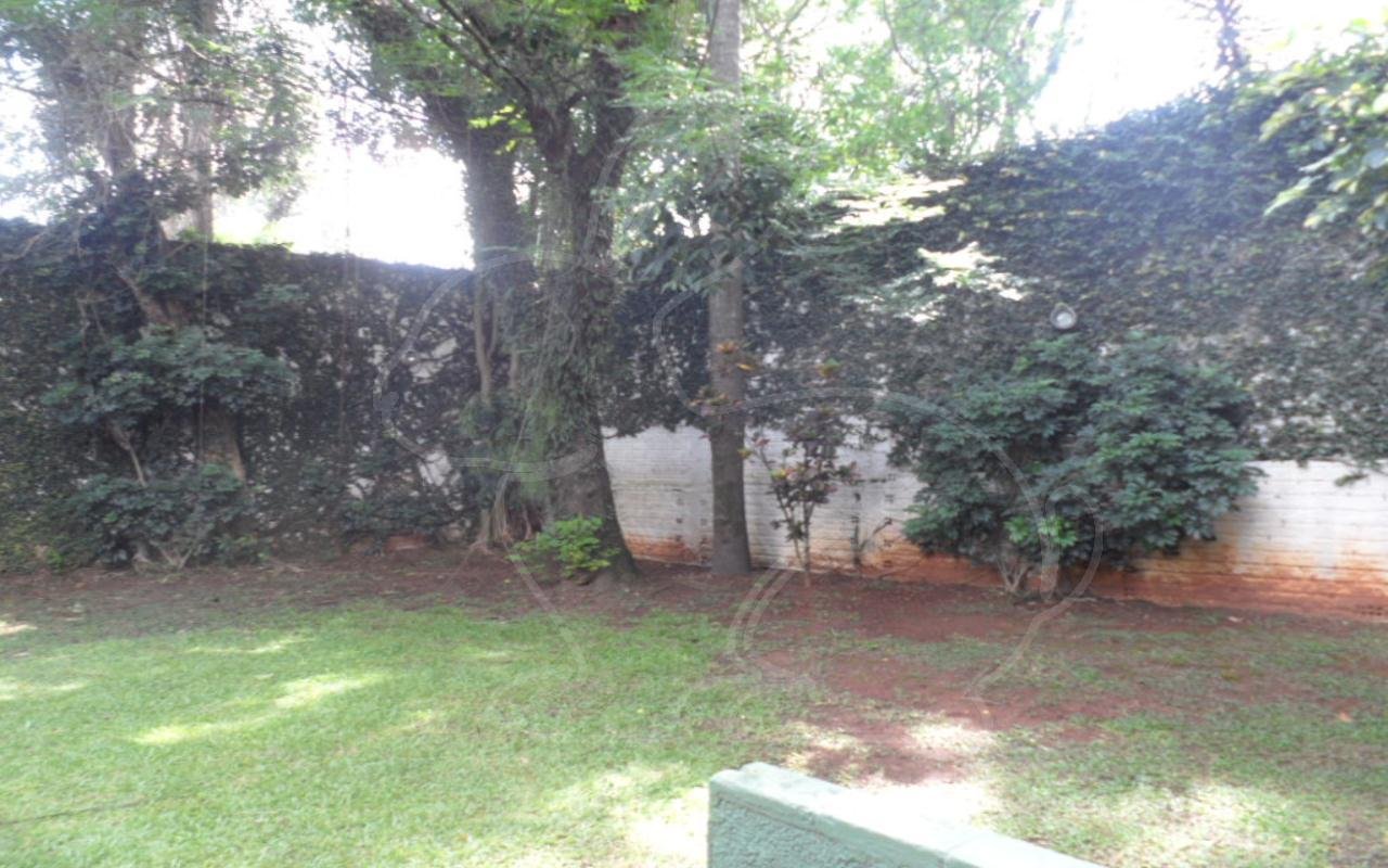 Jardim