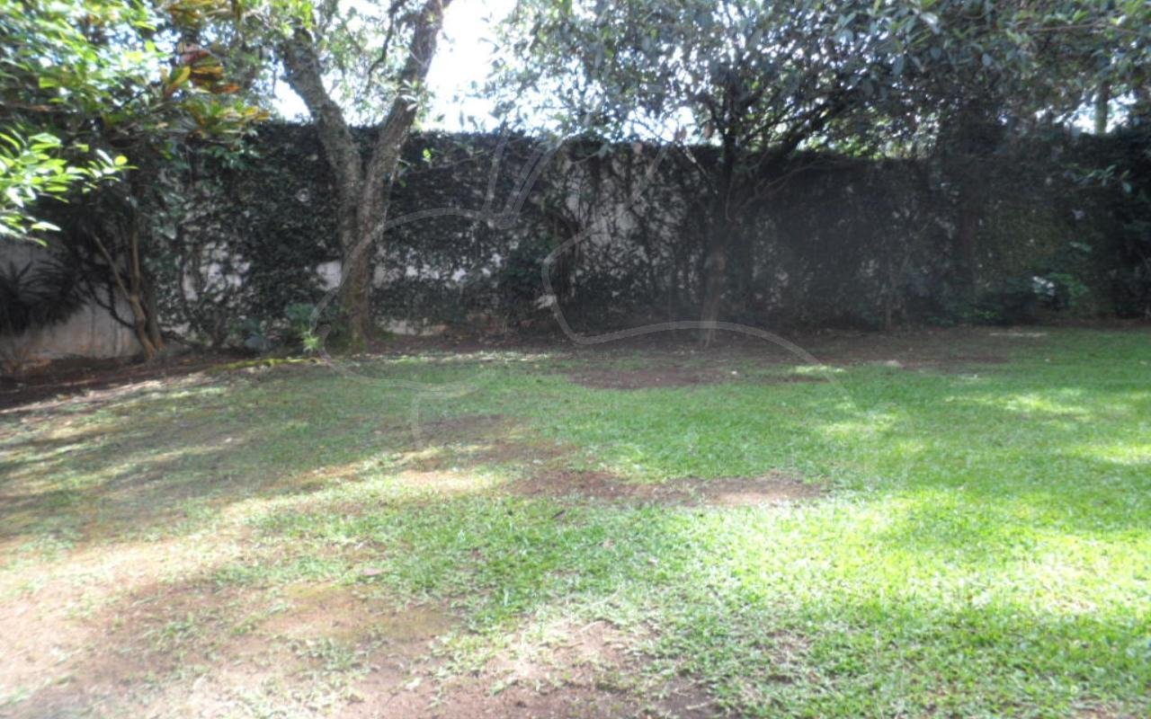 Jardim