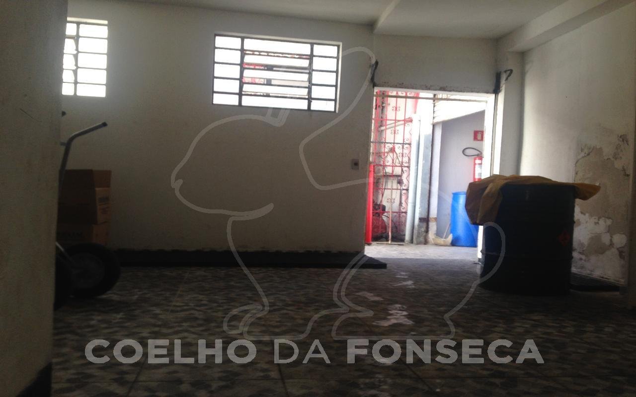 Foto (3)