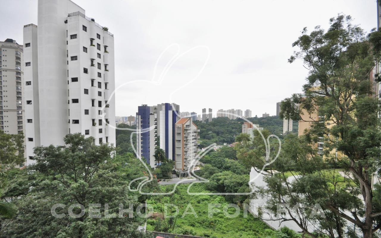 Vista