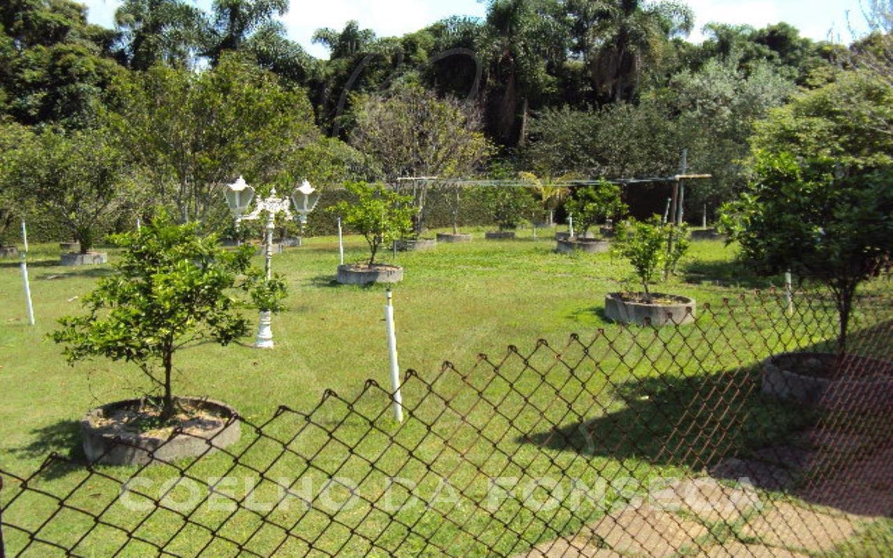 Jardim