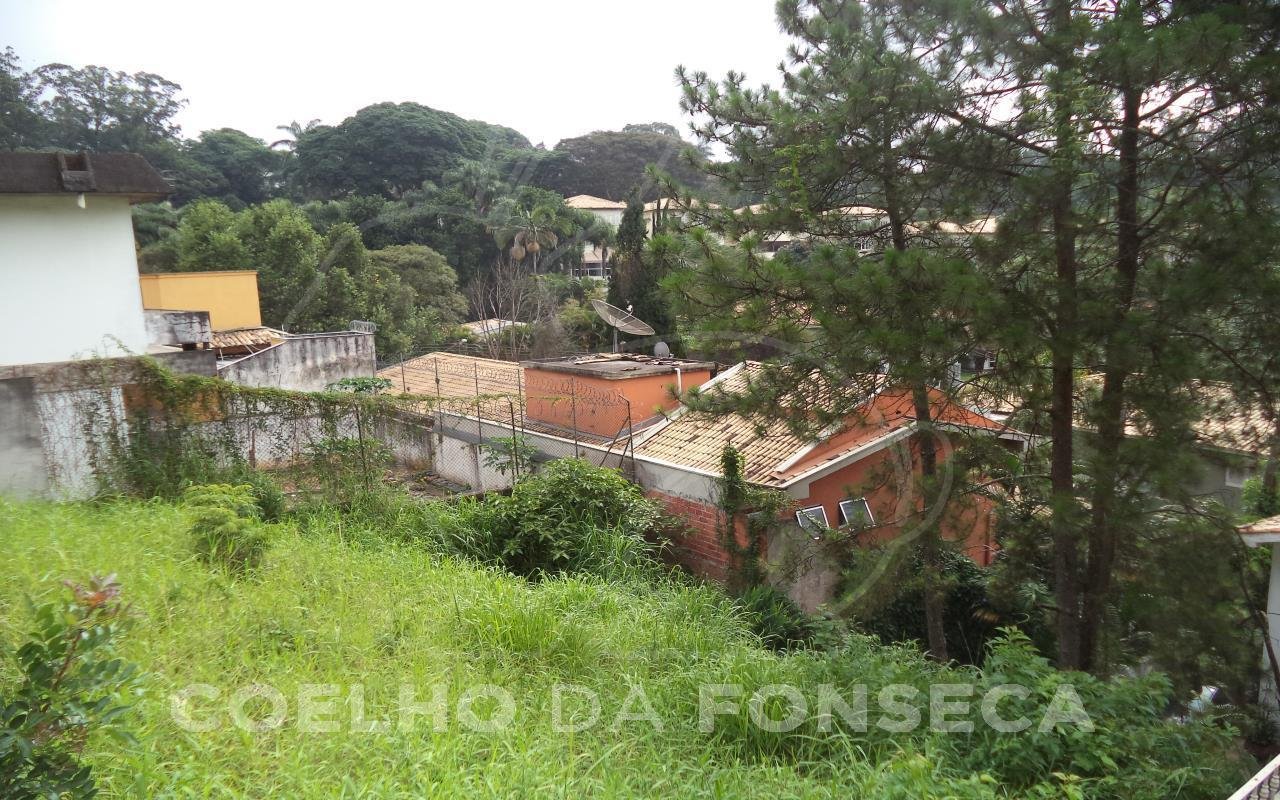 Terreno