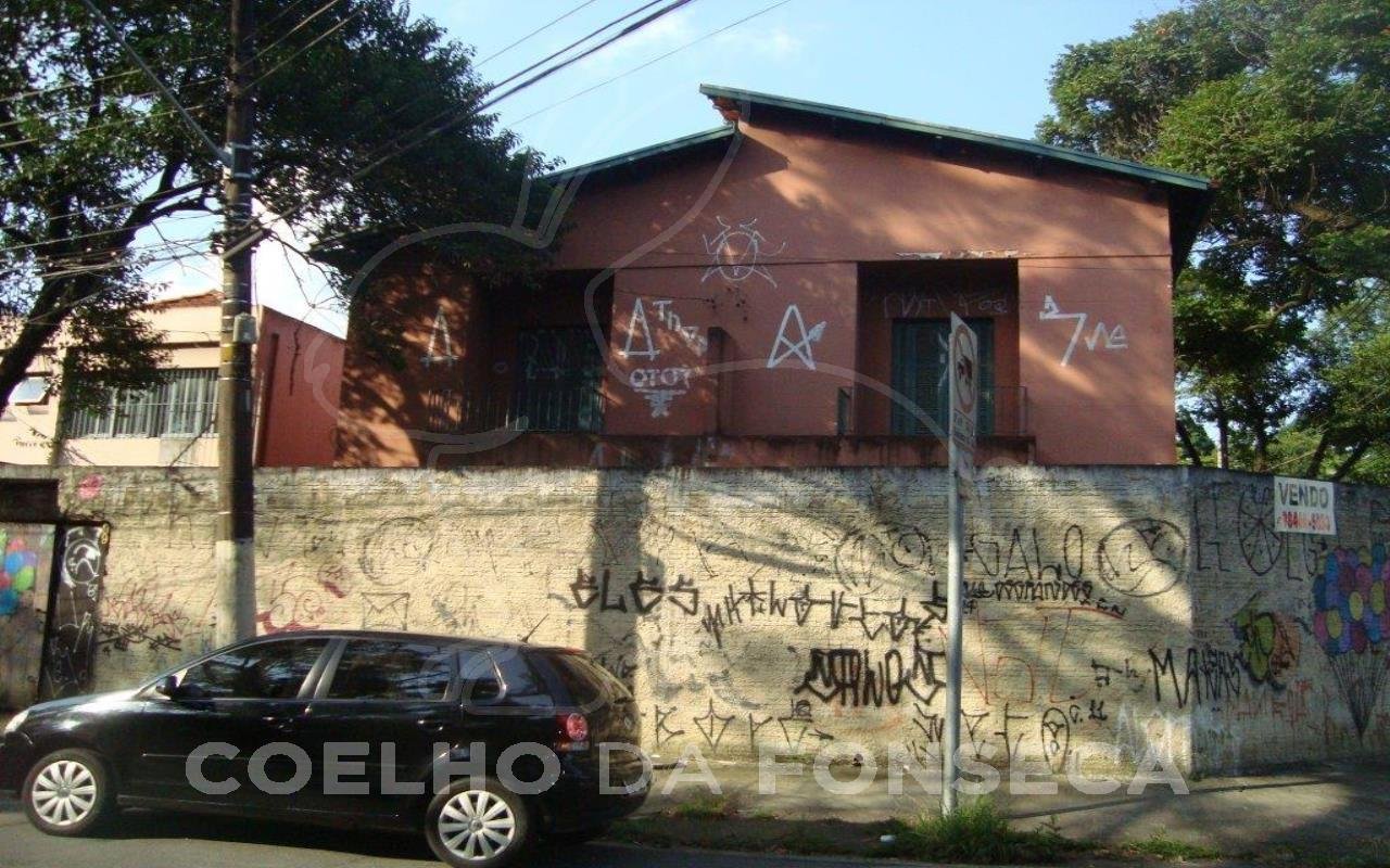 Foto (2)