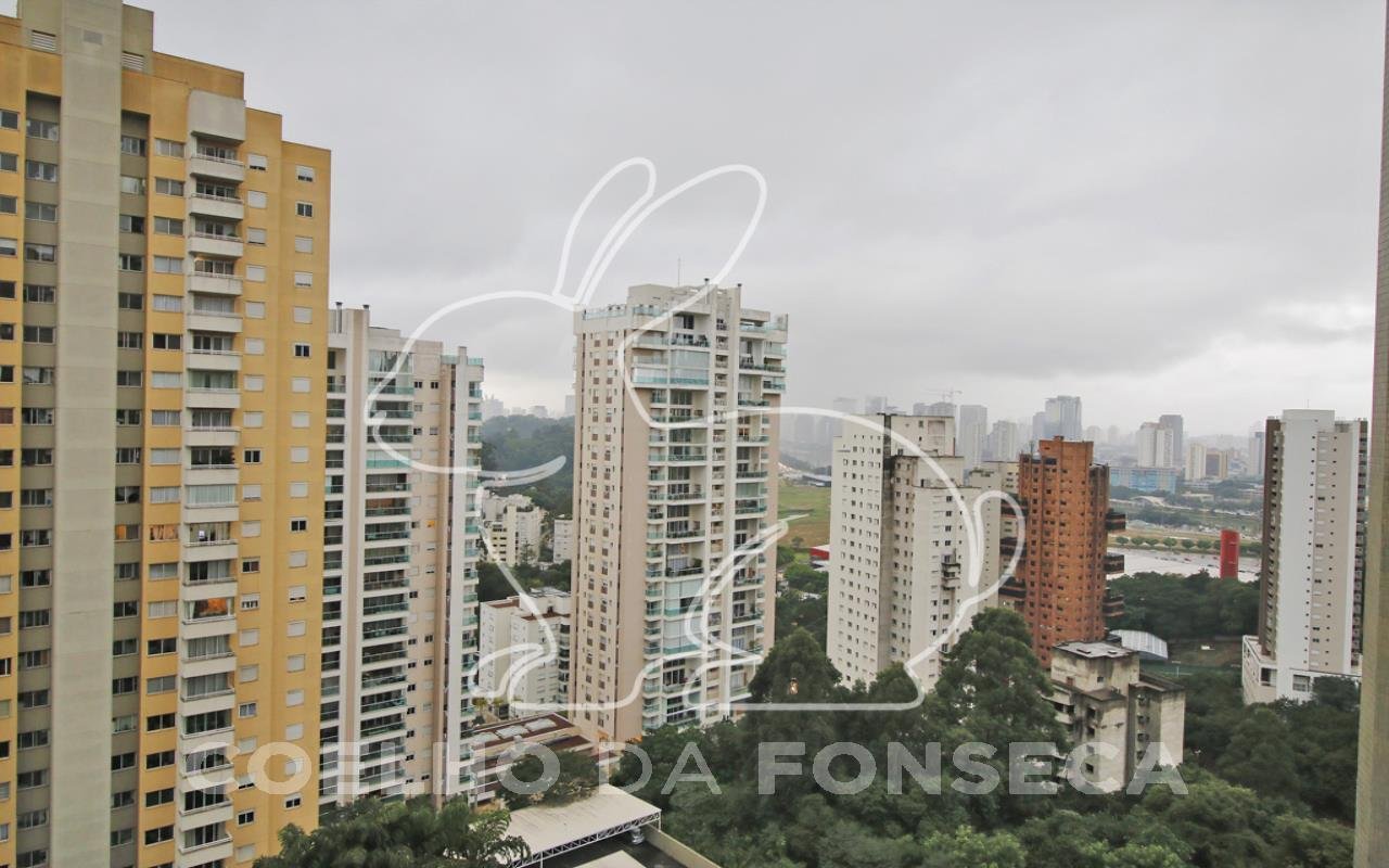 Vista