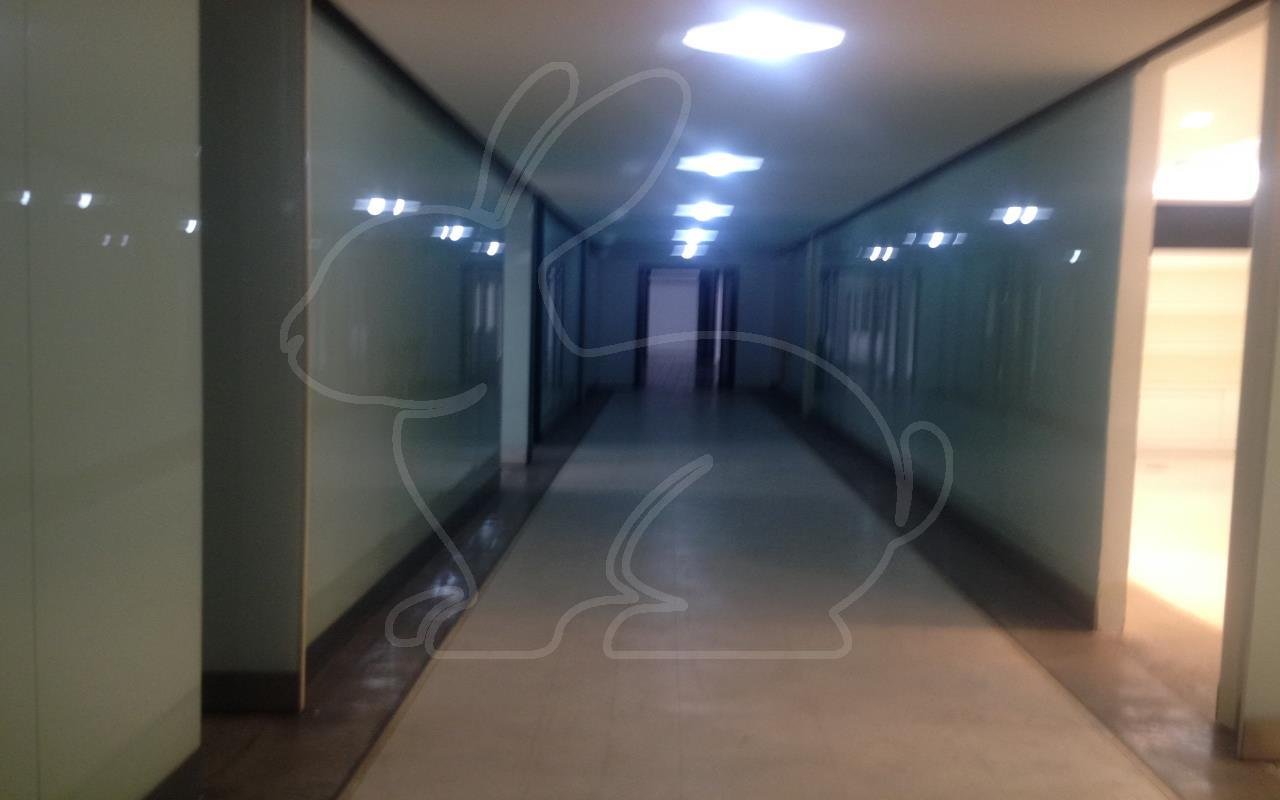 Hall de Circulação