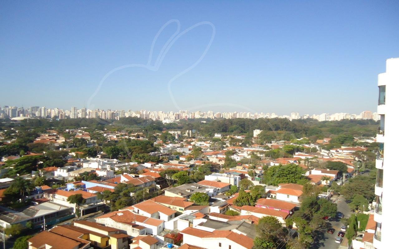 Vista