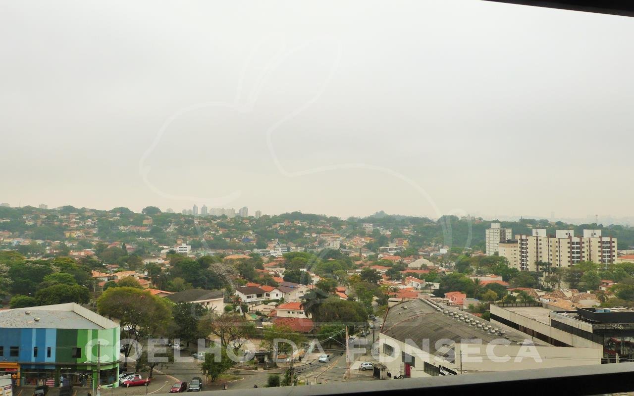 Vista