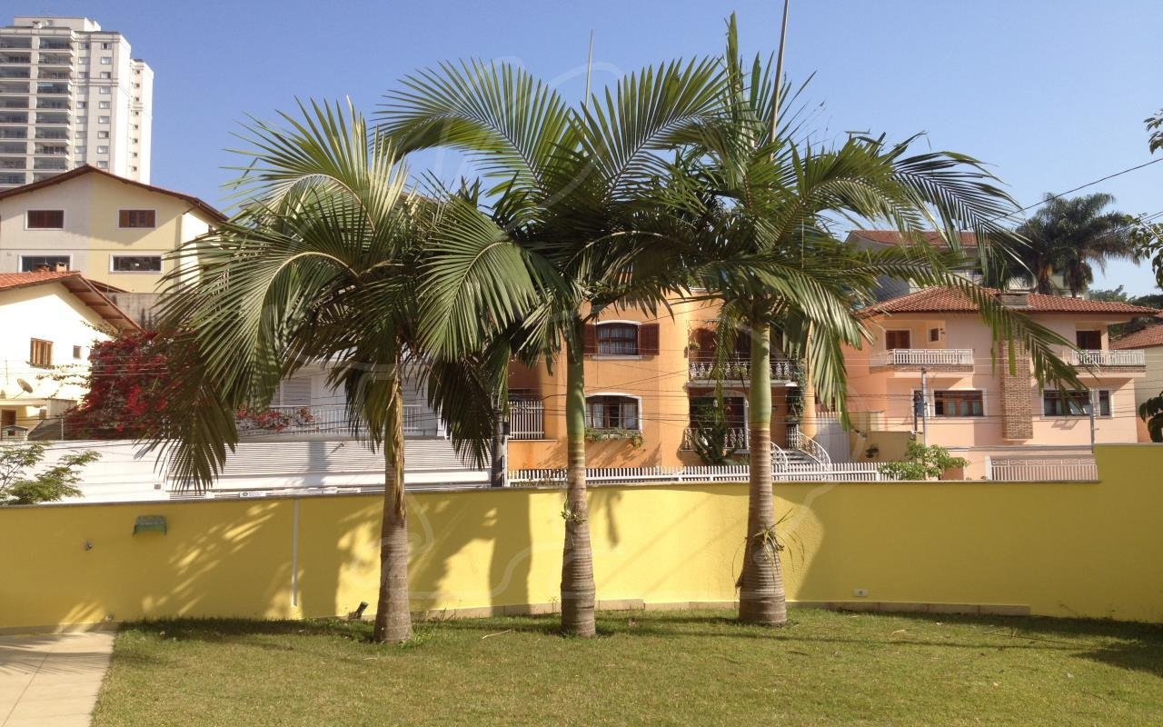 Jardim