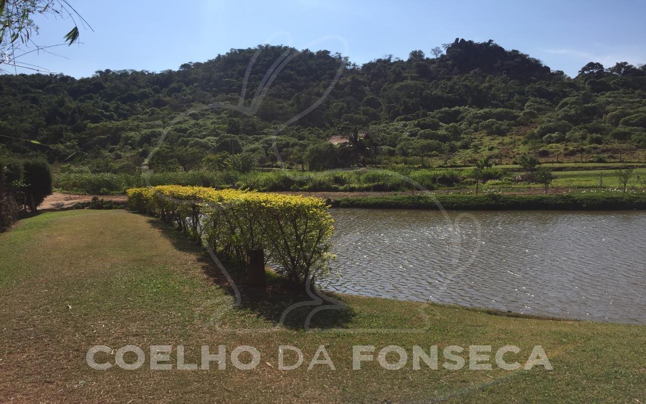 Lago
