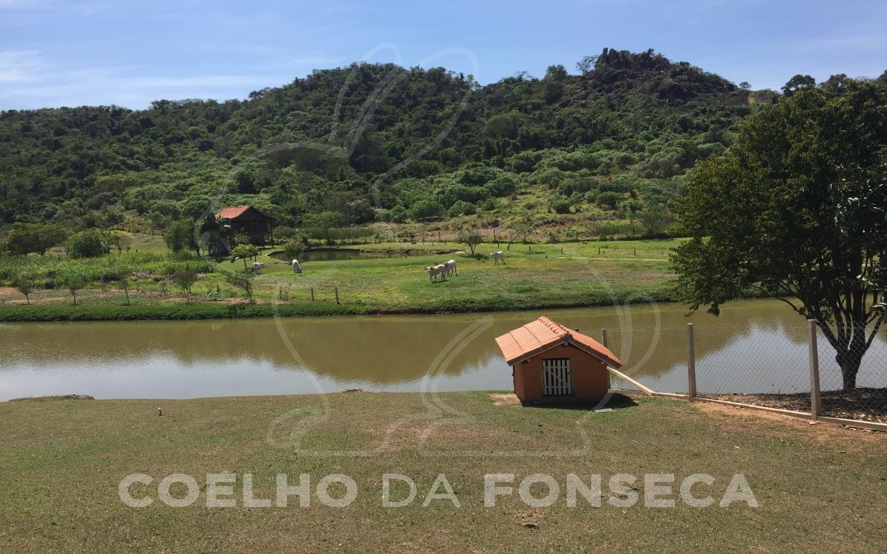 Lago
